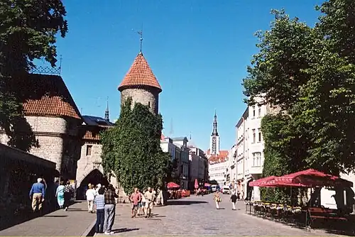 Улица Виру у Вируских ворот. В перспективе улицы — башня Ратуши