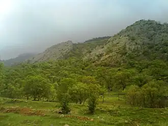 Танге вокруг города До-Гомбедан, ранняя весна