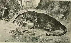 Мезонихиды - мезоникс