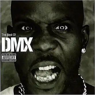 Обложка альбома DMX «The Best of DMX» (2010)