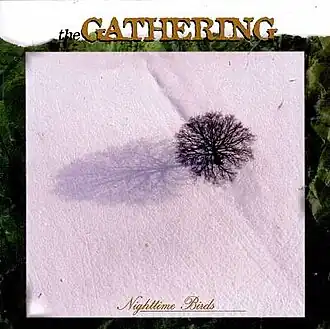 Обложка альбома The Gathering «Nighttime Birds» (1997)