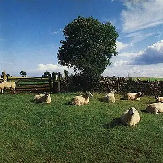 Обложка альбома The KLF «Chill Out» (1990)