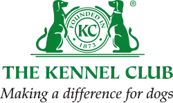 Изображение логотипа