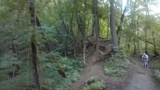 Нижняя терраса мыса, образованного сходящимися оврагами, на котором располагается Кунцевское городище. Вид со стороны Москвы-реки