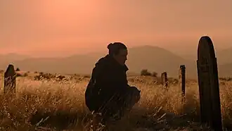 Элли (Белла Рамзи) посещает могилу Джоэла. Сцена была написана, чтобы дать зрителям возможность погоревать, а её операторская работа и игра Рамзи получили высокую оценку.