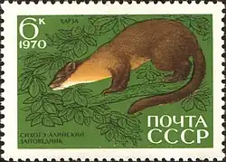 Почтовая марка СССР 1970 года. 35 лет Сихотэ-Алинского заповедника. Харза