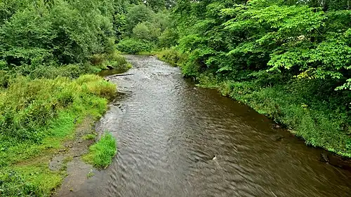 Берега реки Лава