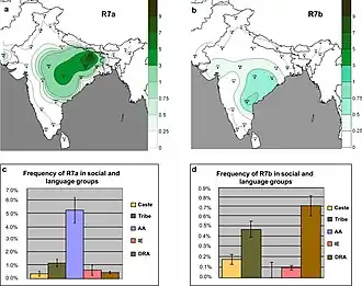 Распределение частот субклад R7a и R7b