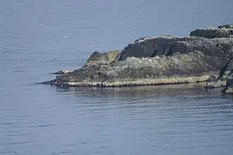 Самая северная точка острова