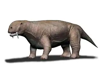 Реконструкция