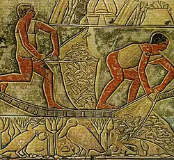 Изображение рыбаков из гробницы Мереруки, VI династия