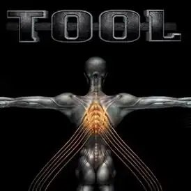 Обложка альбома Tool «Salival» (2000)