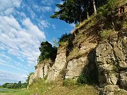 Ториское песчаное обнажение