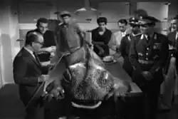 Постер фильма