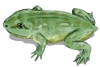 Реконструкция