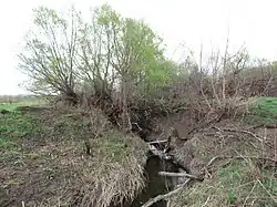 Ручей впадающий в Миткирей в районе  железнодорожного моста Бековской ветки. 2015