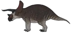 Triceratops horridus