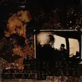 Обложка сингла Tricky «Aftermath» (1994)