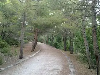 Солнечная тропа в районе Гаспры