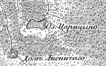 Земли деревни Царицыно Озеро на карте 1913 года