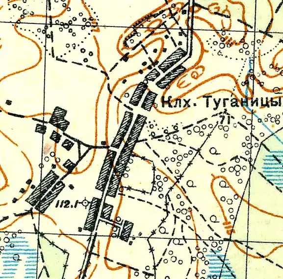 План деревни Туганицы. 1931 год