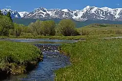 Река Тюте на фоне Северо-Чуйского хребта