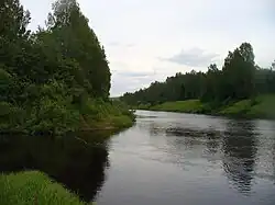 Устье Куножа (слева)