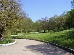 Парк «Балка Ушакова»&nbsp;— ботанический памятник