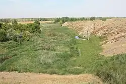 Вид вниз по течению с плотины пруда в нижнем течении реки Ушкатты летом 2009 года