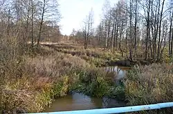 река в Новой Ушице