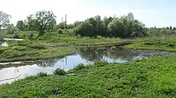 Устье реки Шепелюха