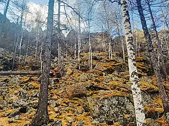 Смоленские скалы