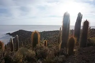 Фото 2018 года