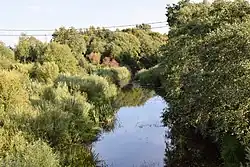 Нижнее течение реки летом 2017 года.