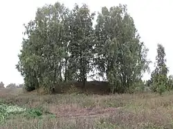 Юго–восточный бастион.