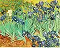 Ирисы (1889)