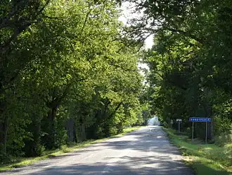 Дубовая аллея