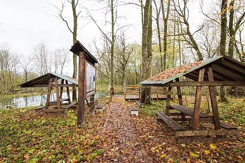 Участок экотропы (2020 год)