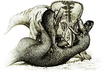 Реконструкция сражающихся протоцератопса и велоцираптора