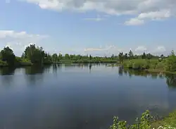 Веряжа в окрестностях пгт Панковка