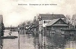 Половодье (водополье)