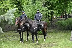 Конная полиция в Киеве, 2019 год