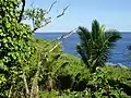 Вид с территории мотеля Coral Gardens на мыс Макапу