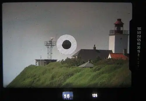 Вид в видоискатель зеркальной камеры с 300-мм телеобъективом и 2-кратным телеконвертором