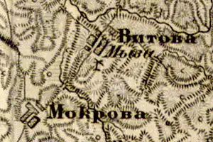 Деревня Витово на карте 1863 года