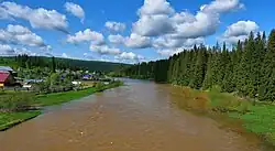 Вижай между Горнозаводском и Пашией