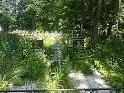 Семейное захоронение Андреевых