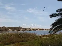 Птичий заповедник La Charca