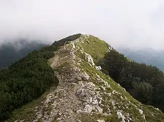 Вояк&nbsp;— наивысшая вершина массива Учка