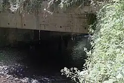 Река Волошна под мостом, находящимся на дороге М20(д. Мякишево) – д. Глубокое